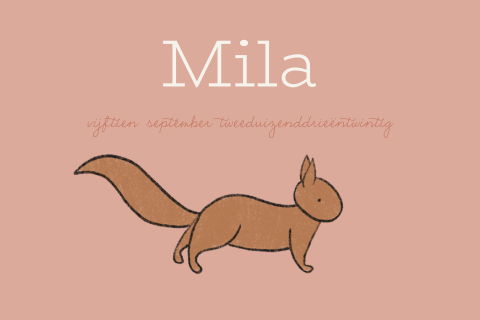 Schattig eekhoorn geboortekaartje voor een meisje