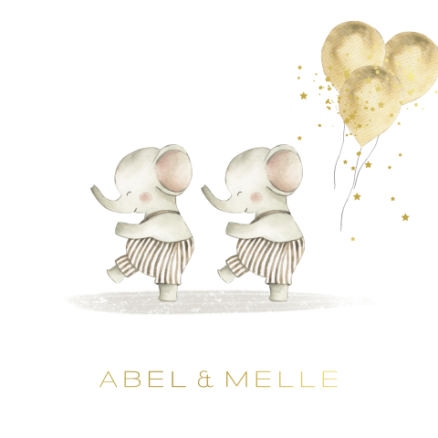 Lief geboortekaartje voor een tweeling met olifanten