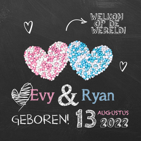 Geboortekaartje twee-eiige tweeling met stoere uitstraling