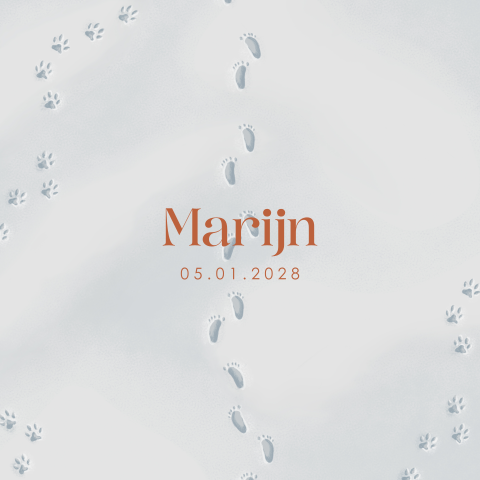 Schattig geboortekaartje met voet- en pootafdrukken in de sneeuw