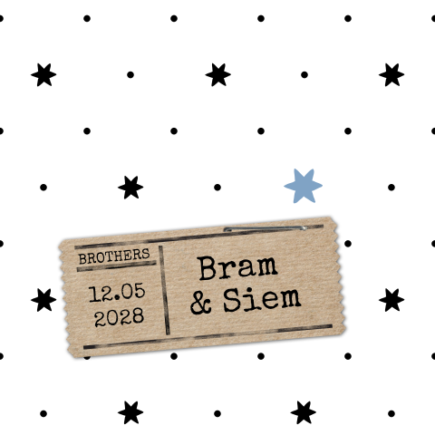 Modern babykaartje jongens tweeling sterren en label