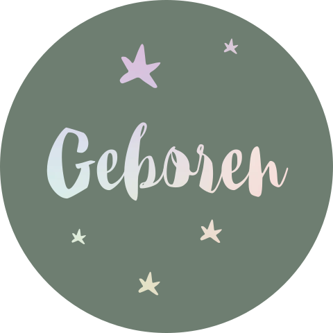 Sluitzegel met holografische folie