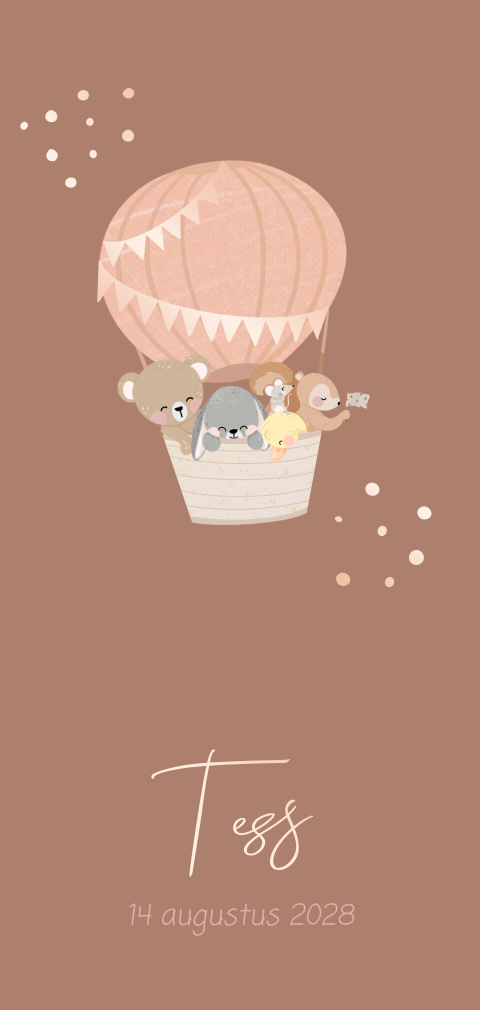 Lief geboortekaartje meisje met luchtballon
