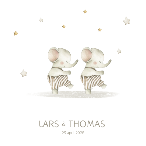 Geboortekaartje voor een tweeling olifantjes sterren