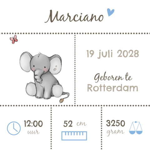 Typografisch geboortekaartje met olifant voor jongen
