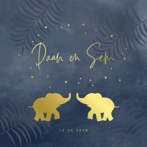 Blauw olifanten geboortekaartje tweeling jongen