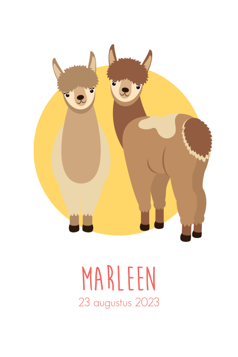 Geboortekaartje met alpaca duo voor meisje