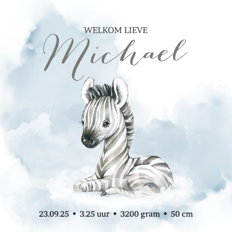 Geboortekaartje jongen met zebra