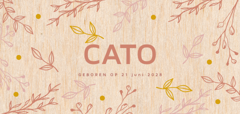 Houten geboortekaartje origineel voor een meisje