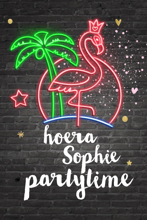 Neon look uitnodiging meisje flamingo palmboom