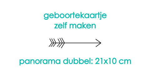 Geboortekaartje panorama dubbel ontwerpen