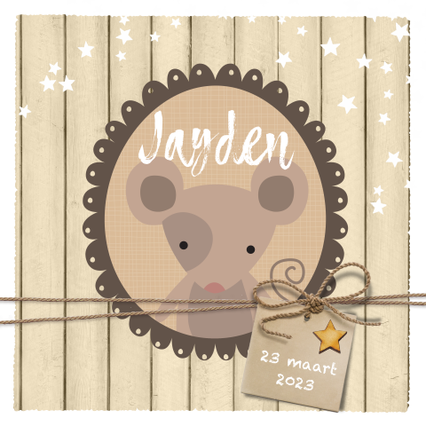 Geboortekaartje jongen/meisje muisje met echt houten sterretje