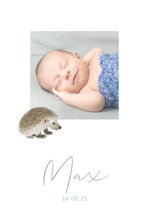 Geboortekaartje jongen foto egel