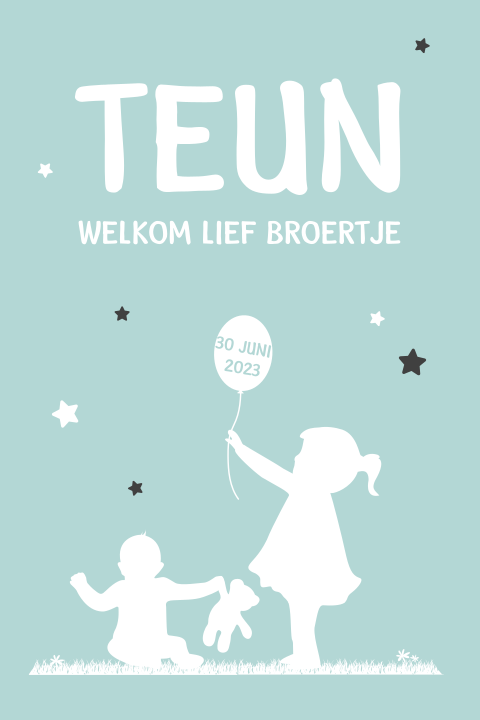 Mooi geboortekaartje jongen en broertje met silhouet