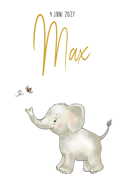 Geboortekaartje jongen olifantje en bijtje