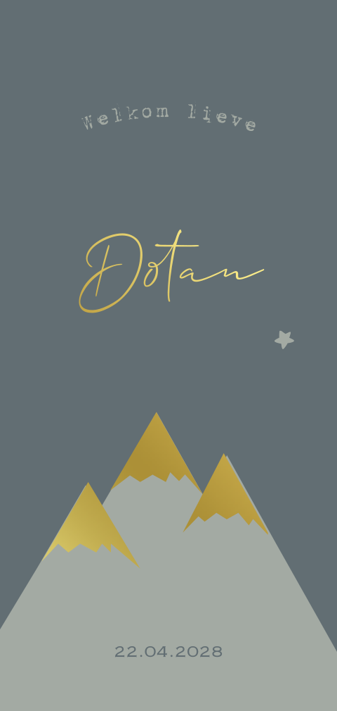 Hip foliedruk winter geboortekaartje jongen bergen