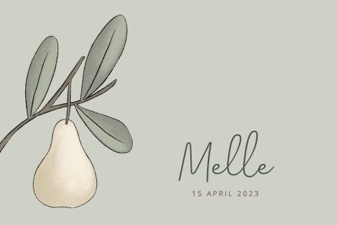 Modern geboortekaartje jongen met ronde hoeken en peer