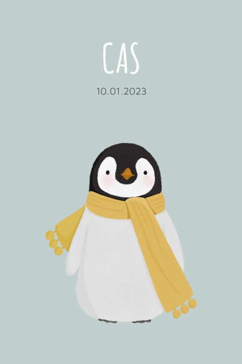 Geboortekaartje jongen met pinguïn