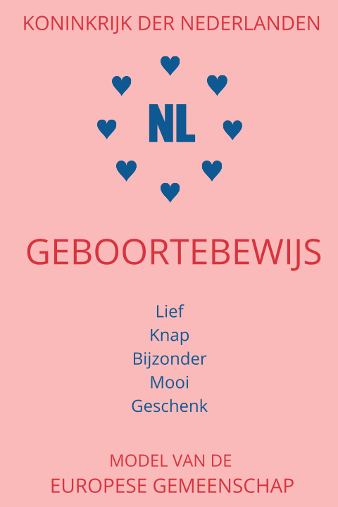 Paspoort geboortekaartje geboortebewijs met foto aan de binnenkant