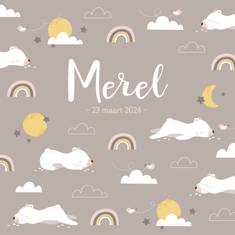 Hip geboortekaartje meisje met beertjes en regenbogen