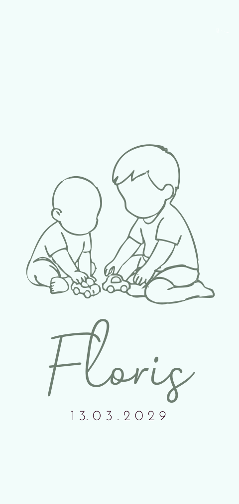 Geboortekaartje jongen tweede kindje broertjes spelen met autootjes