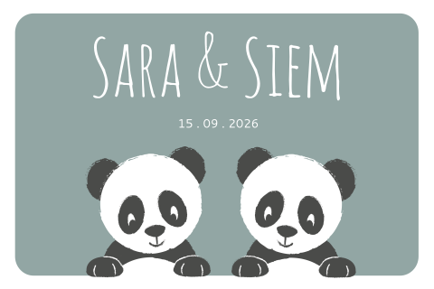 Geboortekaartje tweeling met pandabeertjes