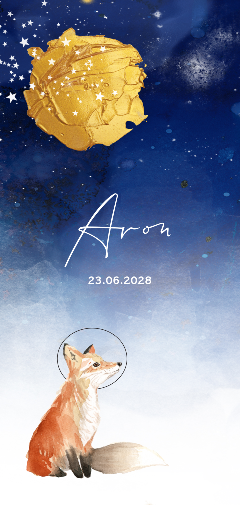 Hip getekend jongens geboortekaartje maan en vos