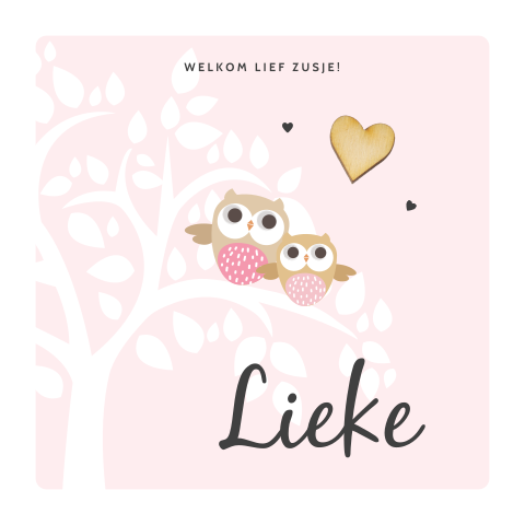 Schattig geboortekaartje voor zusje met boom uilen en houten hartje