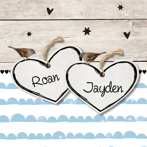 Lief jongens tweeling geboortekaartje met vogeltjes