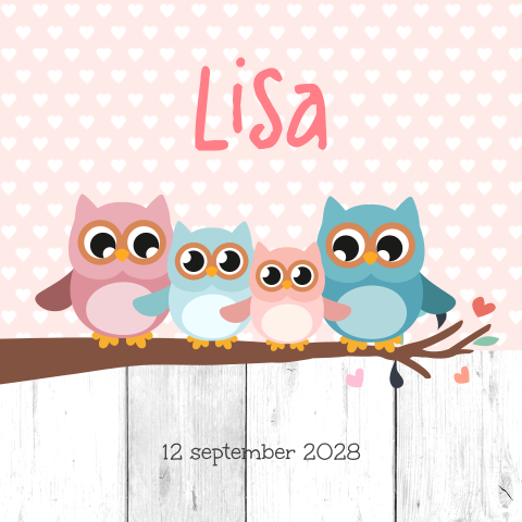 Geboortekaartje zusje met familie uil 