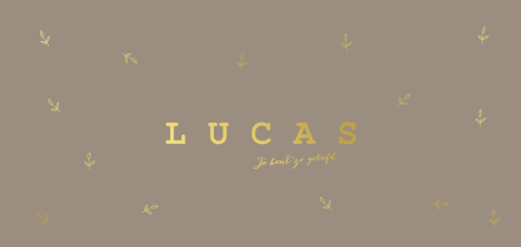 Hip babykaartje jongen bruin tint en foliedruk