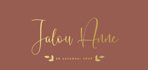 Minimalistisch geboortekaartje terra en foliedruk