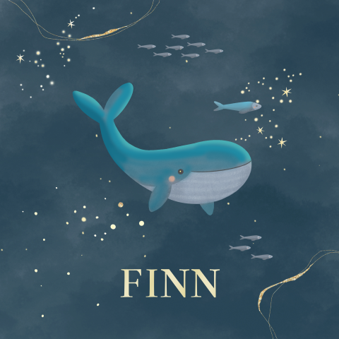 Geboortekaartje winterliefde voor een jongetje met een walvis en sterren