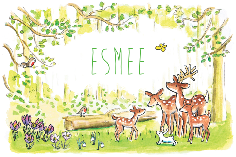 Geboortekaartje meisje 2e kindje met hertjes in het bos