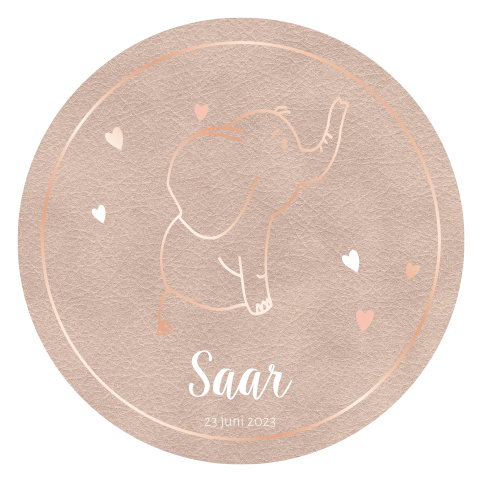 Rond geboortekaartje voor een meisje met olifant
