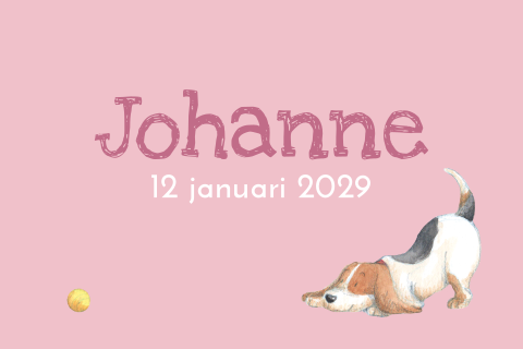 Geboortekaartje voor een meisje met een spelende beagle