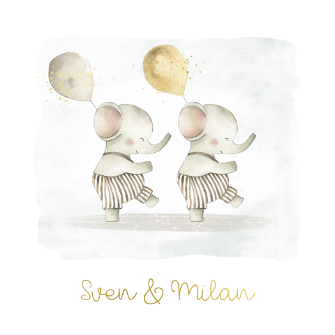 Lief tweeling kaartje jongens olifantjes ballonnen