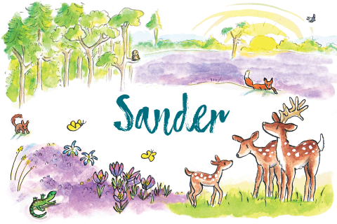 Geboortekaartje jongen hertjes vos en de zon