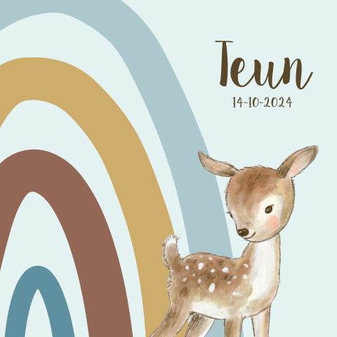 Regenboog geboortekaartje jongen met hert