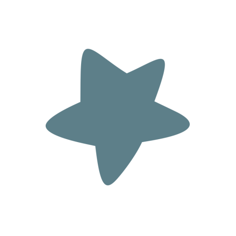 Sluitsticker met blauwe ster