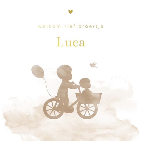 Tof geboortekaartje waterverf silhouet broertjes fiets en goudfolie