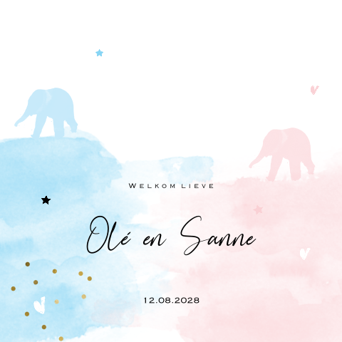 Lief tweeling geboortekaartje roze en blauwe olifant