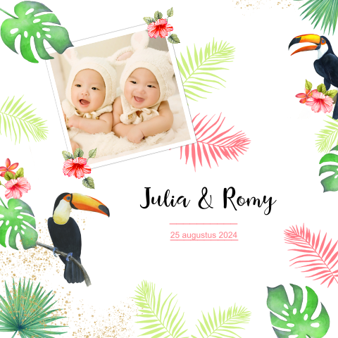 Geboortekaartje toekan meisjes tweeling