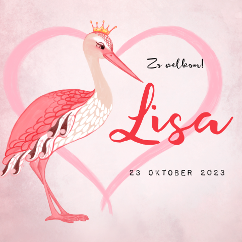 Geboortekaartje meisje met roze ooievaar