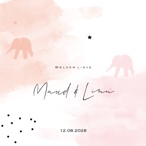 Meisjes tweeling geboortekaartje lief met olifantjes