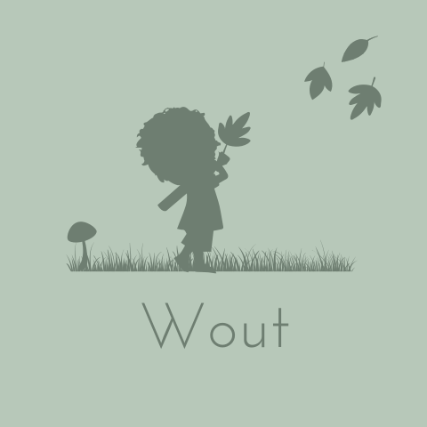 Geboortekaartje met silhouet jongetje met herfst bladeren