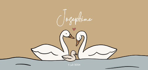 Geboortekaartje met zwanen voor een meisje