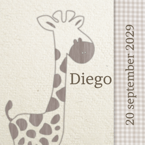 Traditioneel lief geboortekaartje met ruitjes en giraffe