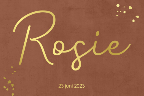 Geboortekaartje meisje typografie met goudfolie