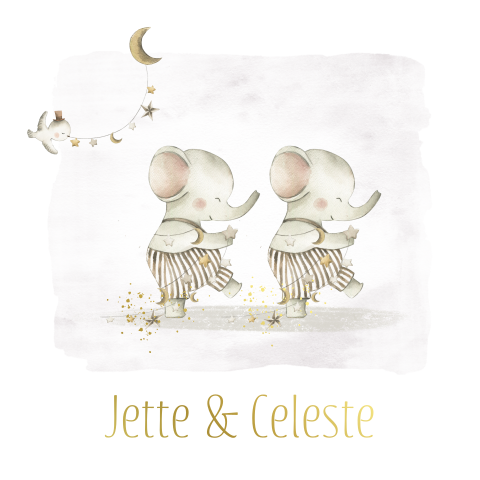Lief tweeling meisjes geboortekaartje met olifantjes